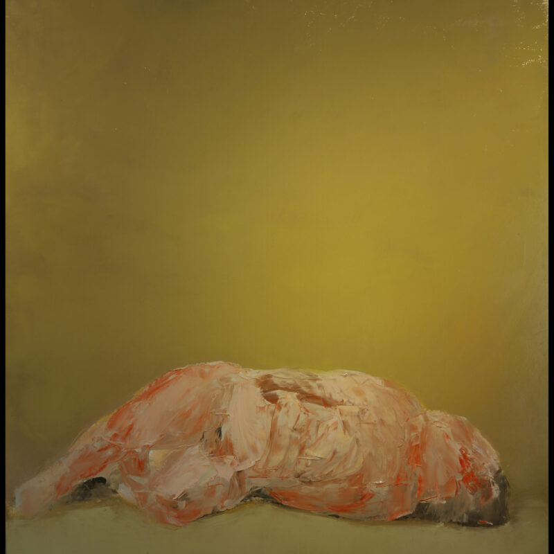 nude3,120x140cm,oil,2022